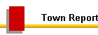 Town Report